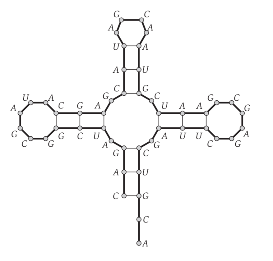 RNA